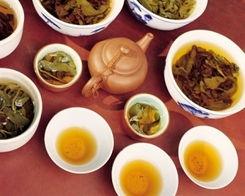 茶生活最新爆料,茶界最新动态大曝光！