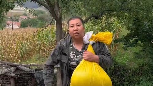 雨姐最新爆料,娱乐圈幕后真相大曝光！